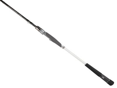 Daiwa Morethan AGS SPIN 10'2'' 5-25g 