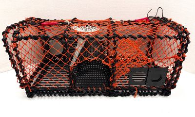 Hummerteine 15 kg rektangulær plast kalv, Orange not 