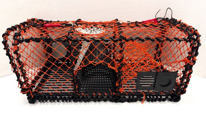 Hovedbilde Hummerteine 15 kg rektangulær plast kalv, Orange ...