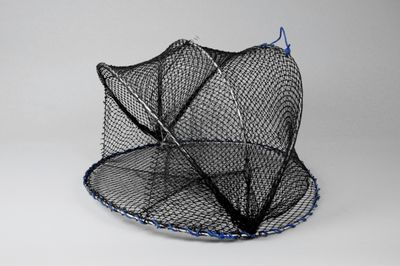 Carapax fiskebur