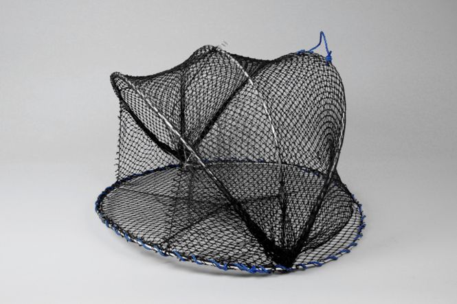 Hovedbilde Carapax fisketeine
