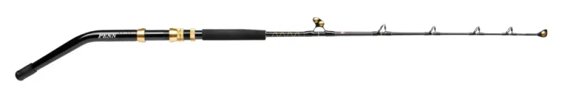 Penn Squall® II Trolling 5,6' 60-130lb
