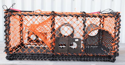 Hummerteine 15 kg rektangulær plast kalv, Orange not 