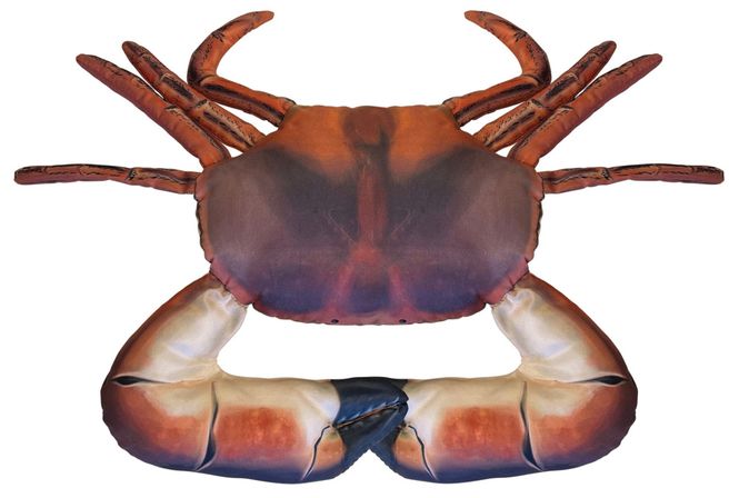 Hovedbilde Kosekrabbe 30x38cm